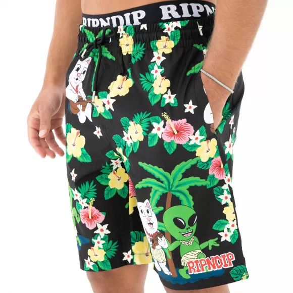 Ripndip Shorts | Aloha Nerm Swim Shorts Black