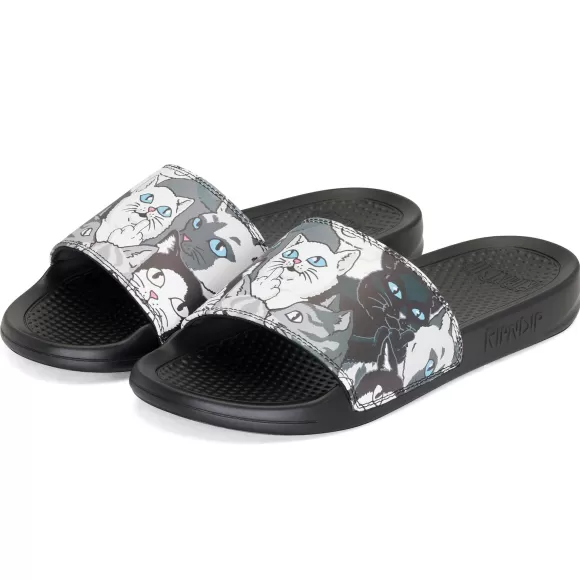 Ripndip Shoes | Family Tree Slides Multi