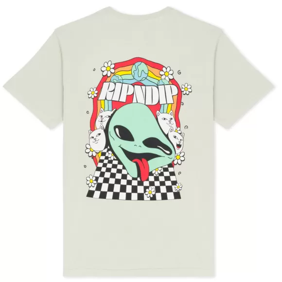 Ripndip Shorts Sleeve Tees | Looking Glass Tee Sage