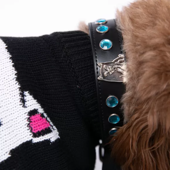 Ripndip Pet Supplies | Lord Nermal Studded Pet Collar Black