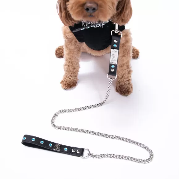 Ripndip Pet Supplies | Lord Nermal Studded Pet Leash Black