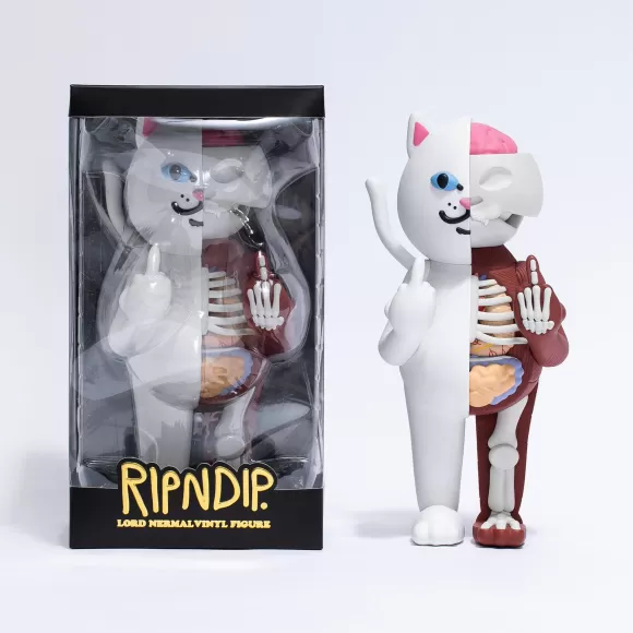 Ripndip Anatomy Collection | Lord Nermal Vinyl Figure