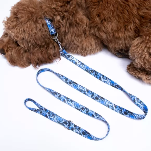 Ripndip Pet Supplies | Nikola Pet Leash