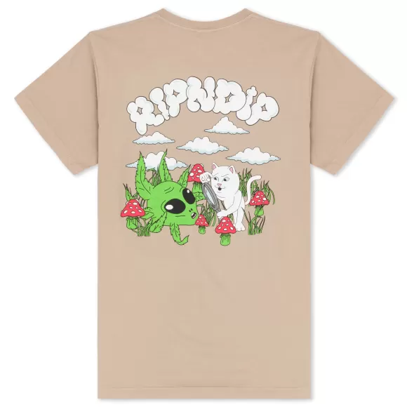 Ripndip Shorts Sleeve Tees | Nomads Tee Almond