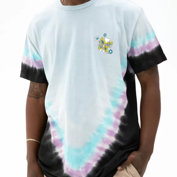 Ripndip Shorts Sleeve Tees | Promised Land Tee Purple/Blue V Dye