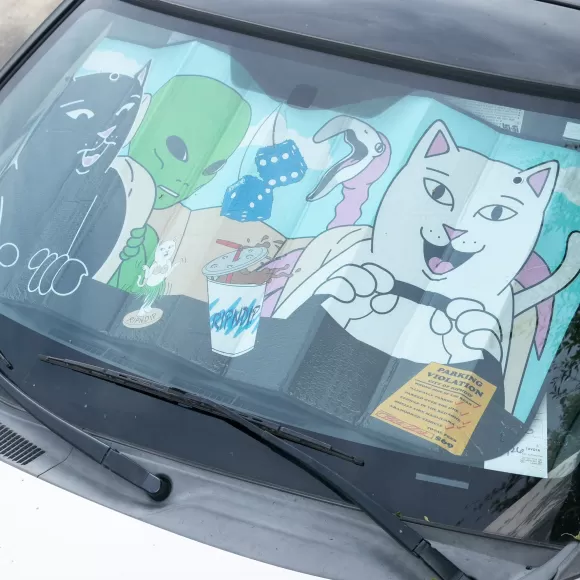 Ripndip Miscellaneous | Road Trip Car Shade