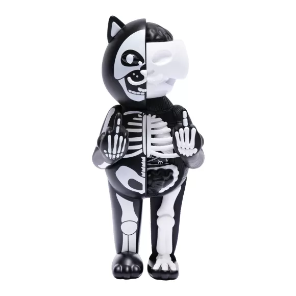 Ripndip Anatomy Collection | Skelly Nerm Anatomy Toy