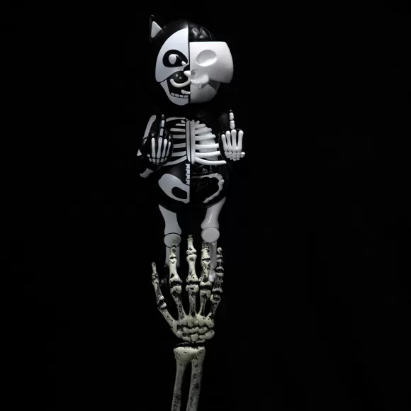 Ripndip Anatomy Collection | Skelly Nerm Anatomy Toy