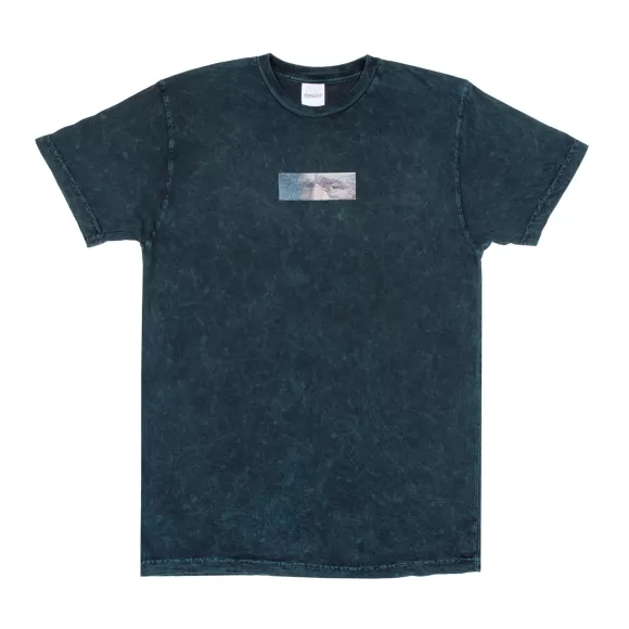 Ripndip Shorts Sleeve Tees | Van Nermal Tee Deep Sea Mineral Wash